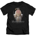 Harry Potter Dumble Doors Juvenile Kids Youth T Shirt Black Officially Licensed
