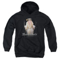 Harry Potter Dumble Doors Kids Youth Hoodie Black Officially Licensed