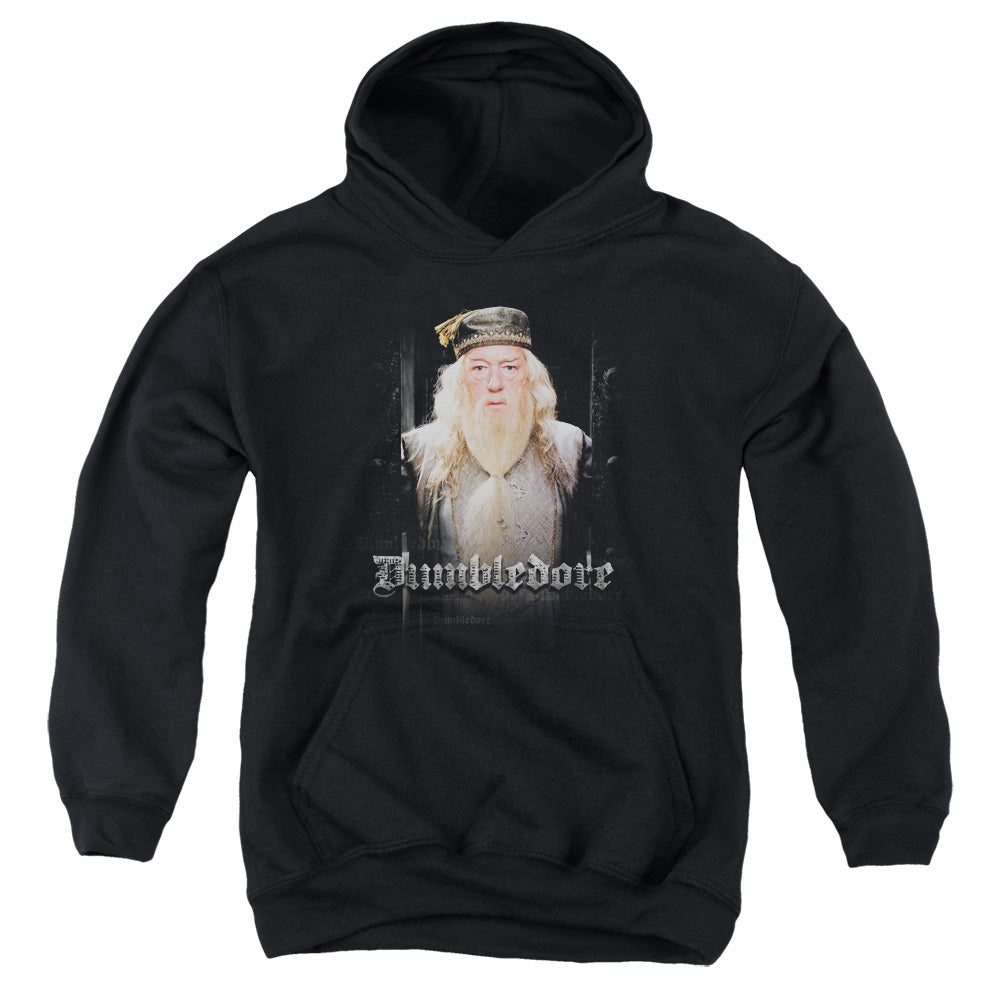Harry Potter Dumble Doors Kids Youth Hoodie Black Officially Licensed