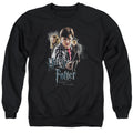 Harry Potter Deathly Hollows Cast Mens Crewneck Sweatshirt Black Officially Licensed
