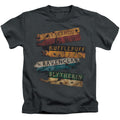 Harry Potter Burnt Banners Juvenile Kids Youth T Shirt Charcoal Officially Licensed