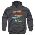 Harry Potter Burnt Banners Kids Youth Hoodie Charcoal Officially Licensed