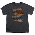 Harry Potter Burnt Banners Kids Youth T Shirt Charcoal Officially Licensed