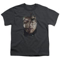 Harry Potter It All Ends Here Kids Youth T Shirt Charcoal Officially Licensed