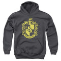 Harry Potter Hufflepuff Crest Kids Youth Hoodie Charcoal Officially Licensed