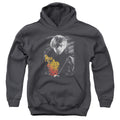 Harry Potter Ron Portrait Kids Youth Hoodie Charcoal Officially Licensed