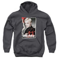 Harry Potter Draco Frame Kids Youth Hoodie Charcoal Officially Licensed