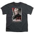 Harry Potter Draco Frame Kids Youth T Shirt Charcoal Officially Licensed