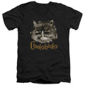 Harry Potter Crookshanks Mens Slim Fit V-Neck T Shirt Black Officially Licensed