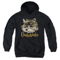 Harry Potter Crookshanks Kids Youth Hoodie Black Officially Licensed