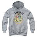 Harry Potter Hogwarts Crest Kids Youth Hoodie Athletic Heather Officially Licensed