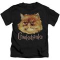 Harry Potter Crookshanks Color Juvenile Kids Youth T Shirt Black Officially Licensed