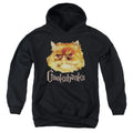Harry Potter Crookshanks Color Kids Youth Hoodie Black Officially Licensed