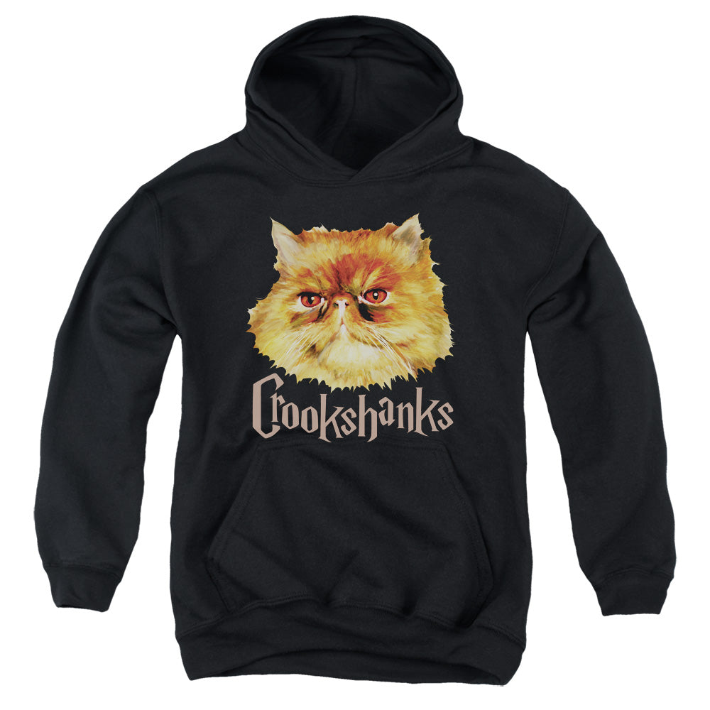 Harry Potter Crookshanks Color Kids Youth Hoodie Black Officially Licensed