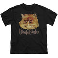Harry Potter Crookshanks Color Kids Youth T Shirt Black Officially Licensed
