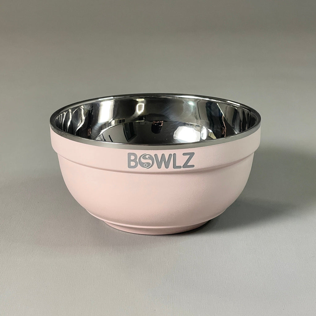 BOWLZ Set of 6 Stainless Steel Insulated Bowl 16 oz Pink (New) ~Keeps Ice Cream Cold!~
