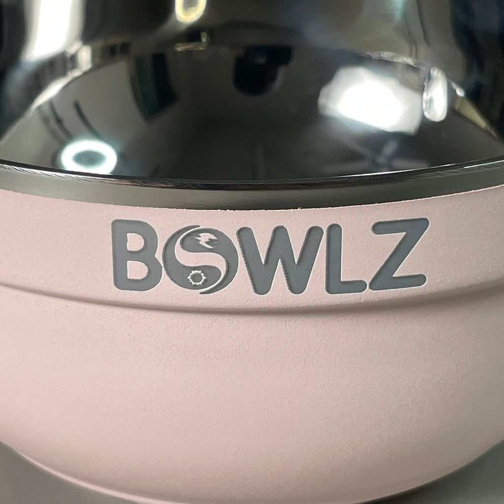 BOWLZ Set of 6 Stainless Steel Insulated Bowl 16 oz Pink (New) ~Keeps Ice Cream Cold!~