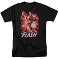 The Flash Red & Gray Mens T Shirt Black Officially Licensed