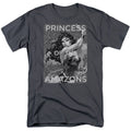 Justice League Princess of the Amazons Mens T Shirt Charcoal Officially Licensed