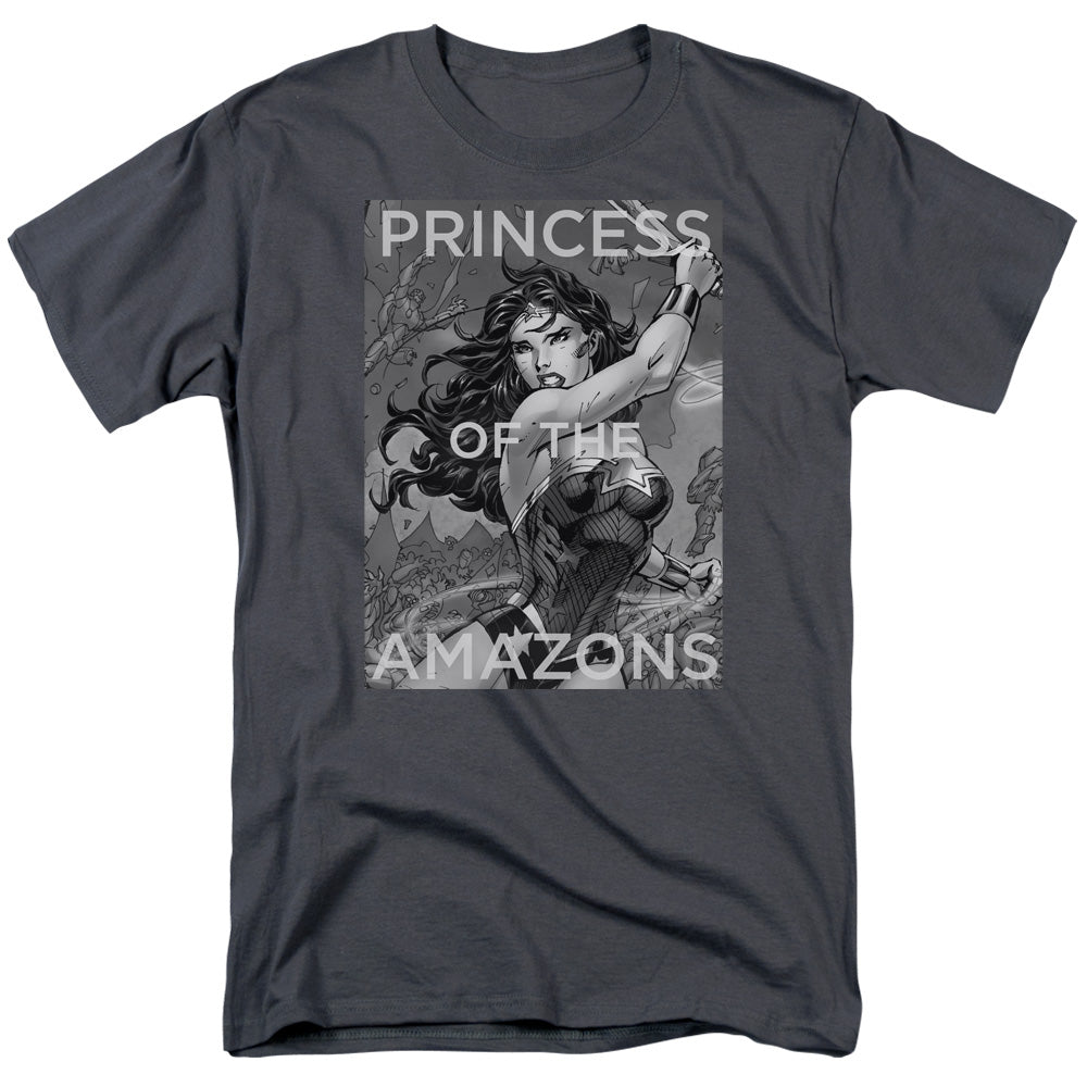 Justice League Princess of the Amazons Mens T Shirt Charcoal Officially Licensed