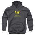 Justice League Movie Wayne Aerospace Kids Youth Hoodie Charcoal Officially Licensed