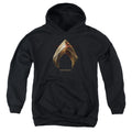 Justice League Movie Aquaman Logo Kids Youth Hoodie Black Officially Licensed