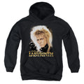Labyrinth Jareth Kids Youth Hoodie Black Officially Licensed