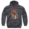 Labyrinth Should You Need Us Kids Youth Hoodie Charcoal Officially Licensed