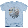 Labyrinth Tea Juvenile Kids Youth T Shirt Light Blue Officially Licensed