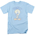 Looney Tunes Tweety Fade Mens T Shirt Light Blue Officially Licensed
