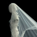 Luxury Long Large Trailing French Retro Lace Wedding Dress