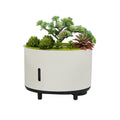 Simulation Plant Bluetooth Music Flame Aromatherapy Humidifier
