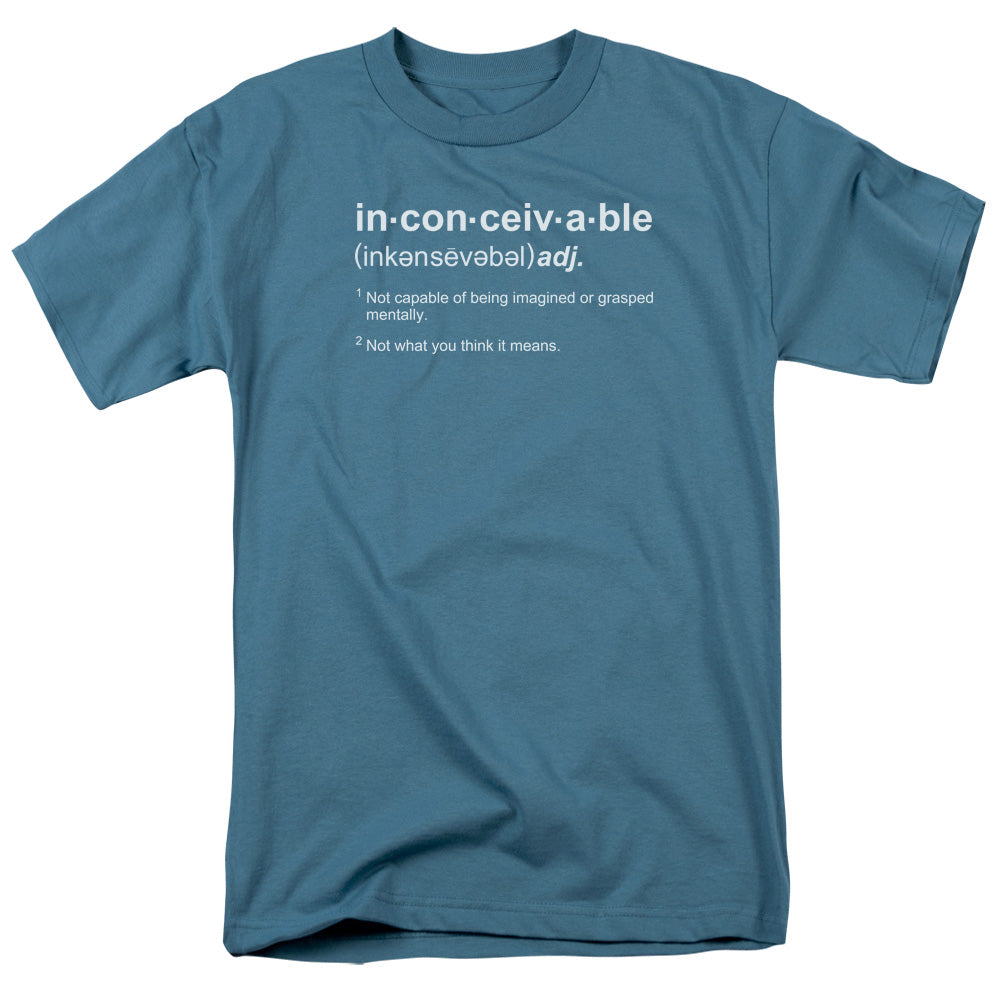 The Princess Bride Definition Mens T Shirt Slate Officially Licensed