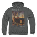 Pink Floyd Faded Animals Mens Hoodie Charcoal