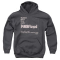 Pink Floyd Arnold Layne Kids Youth Hoodie Charcoal