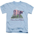 Pink Floyd Atom Mother Heart Pyramid Juvenile Kids Youth T Shirt Light Blue