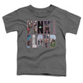 Pink Floyd Cover Toddler Kids Youth T Shirt Charcoal