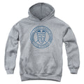 Power Rangers Angel Grove Hs Kids Youth Hoodie Athletic Heather Officially Licensed