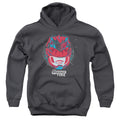 Power Rangers Its Morphin Time Kids Youth Hoodie Charcoal Officially Licensed