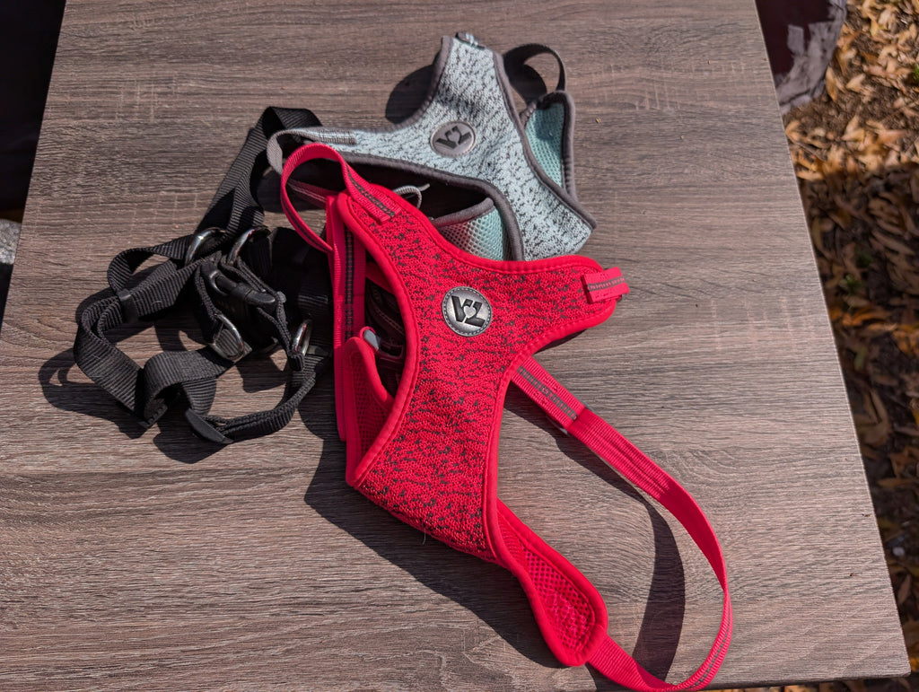 Small Dog Harnesses - set of three
