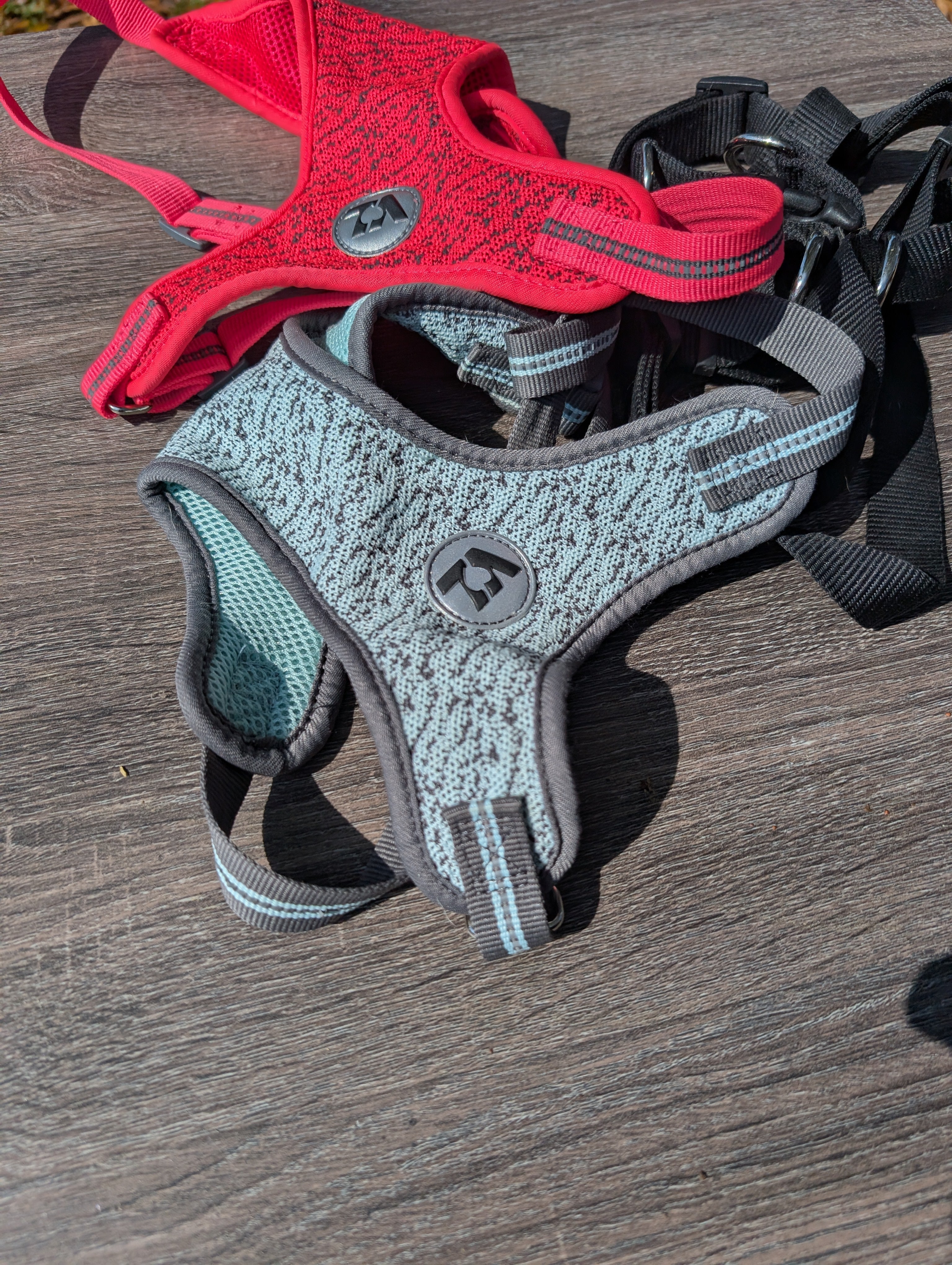 Small Dog Harnesses - set of three