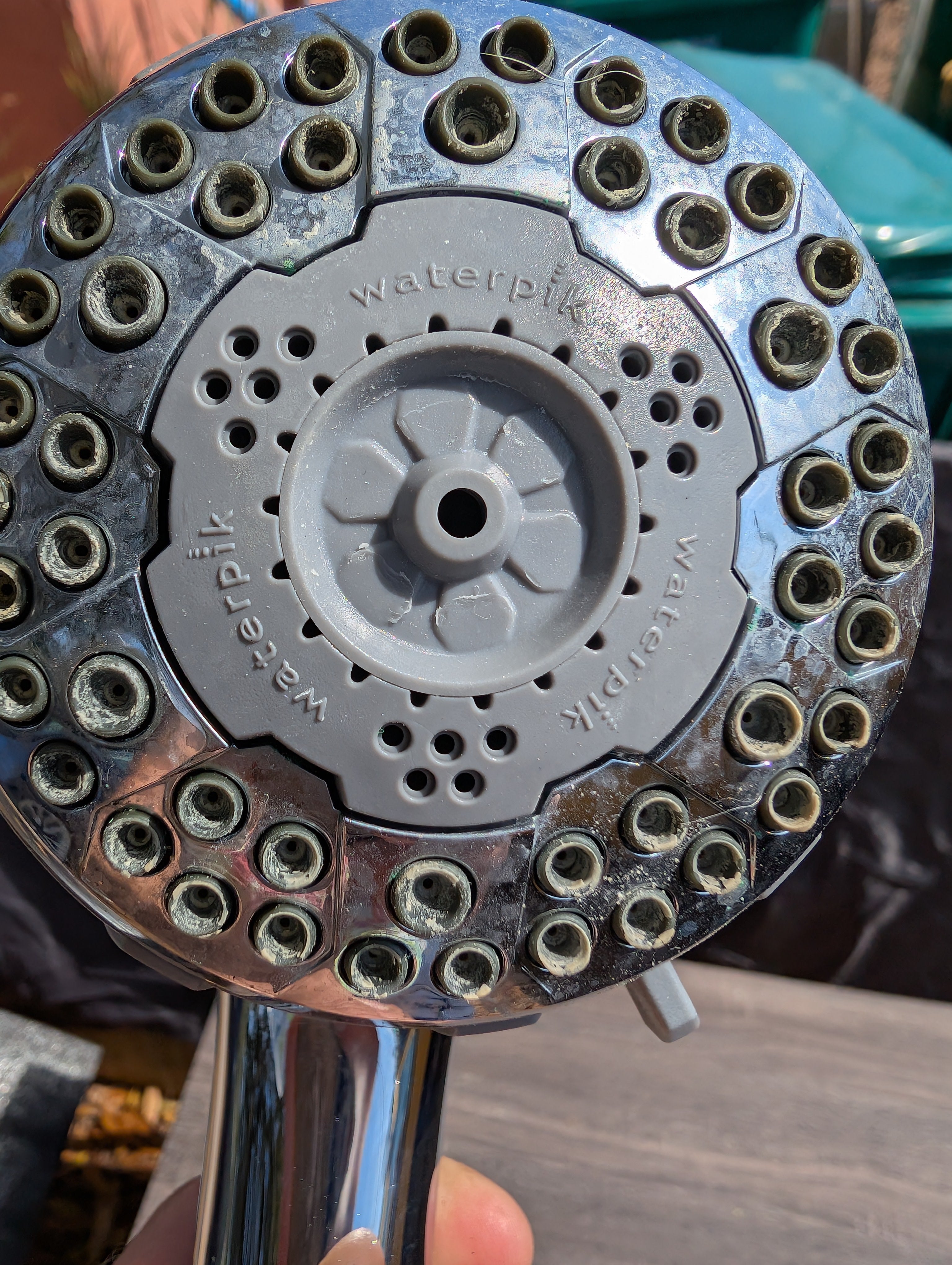 Waterpik Showerhead