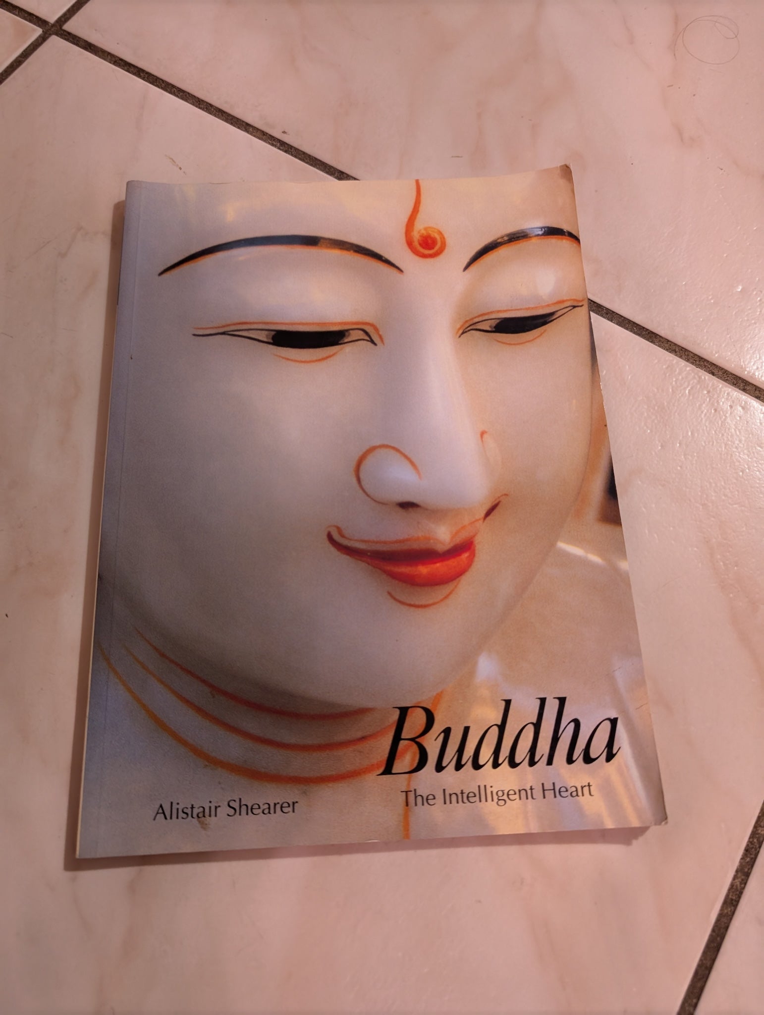 Art And Imagination Series Buddha Book by Alistair Shearer