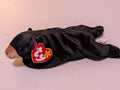 Pecan the Bear - Ty Beanie Baby (Black, 1999, Plushie, Toy, Stuffed Animal, MWMT, Vintage, Retired)