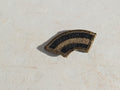 US Army - 42nd. Inf. Div. Subdued Patch (Sew-on)