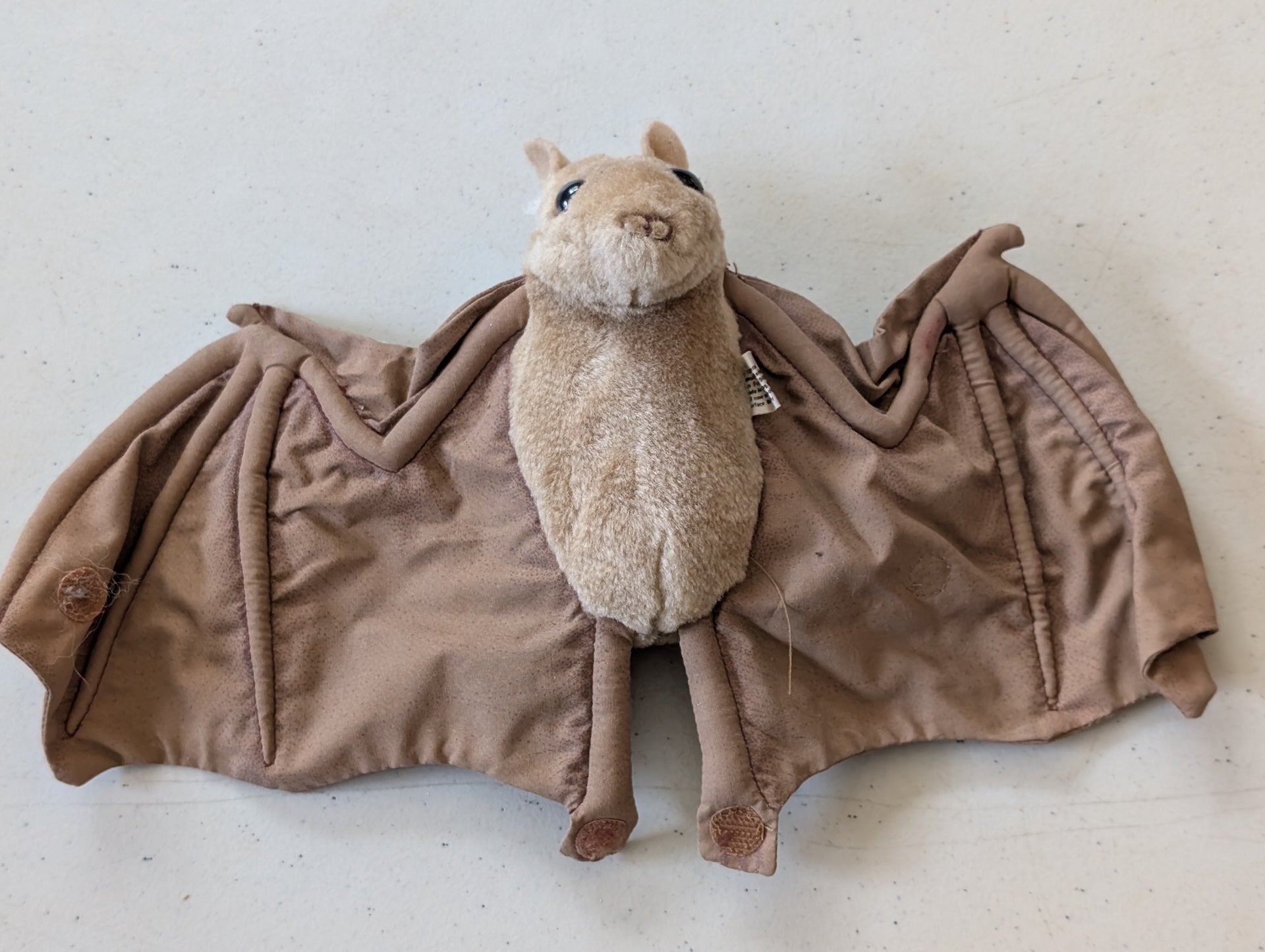 Bat - Audubon Plush Toy (Brown, 2018, Plush Toy)