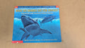What Do Sharks Eat for Dinner? Questions and Answers About Sharks by Melvin & Gilda Berger (Children's Non-fiction, 1999)