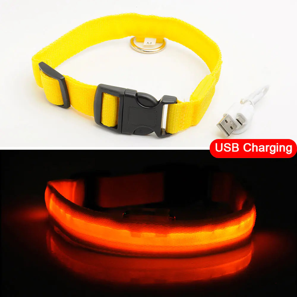 LED Dog Collar - Anti-Lost Rechargeable Safety Light-Up Collar for Night Walks