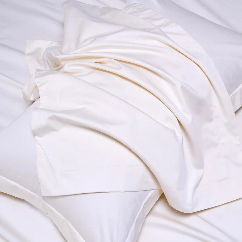 100% Egyptian Cotton Bed Sheet Set 1000TC [Queen & King]