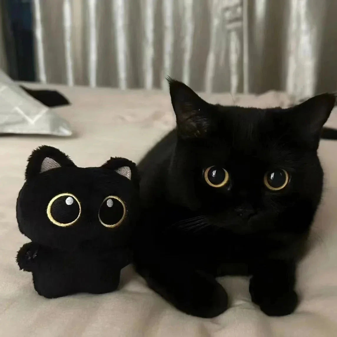 10cm Cute Black Cat Plush Toy – Small Stuffed Doll Pendant Gift